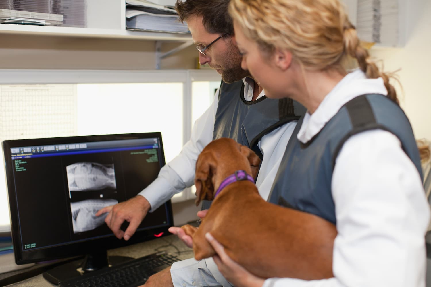 Two veterinarians wearing lead aprons examine a dog's X-ray images on a computer screen while holding a small brown dog.